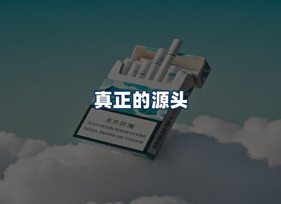 专业团队办公环境
